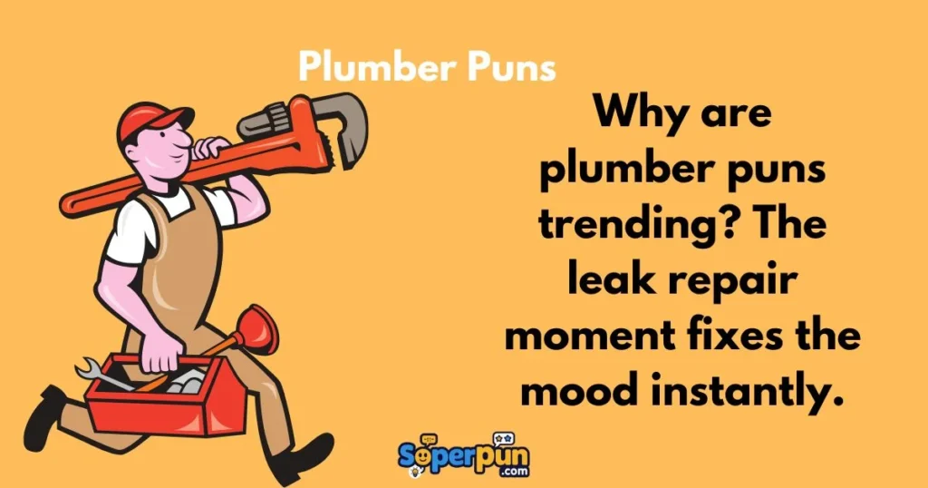 Plumber Puns