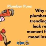 Plumber Puns