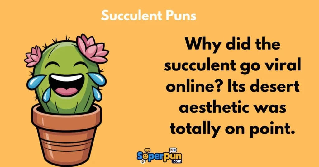 Succulent Puns