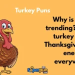Turkey Puns