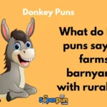 Donkey Puns