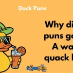 Duck Puns