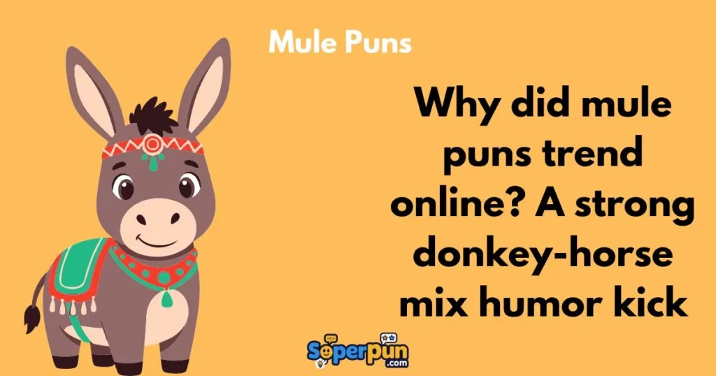 Mule Puns