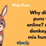Mule Puns